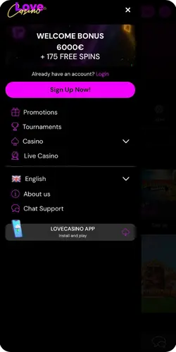 Menu and Sections on the Official Love Casino Website